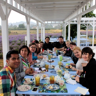 Tea at the Lavender Farm, Frutillar, Chile